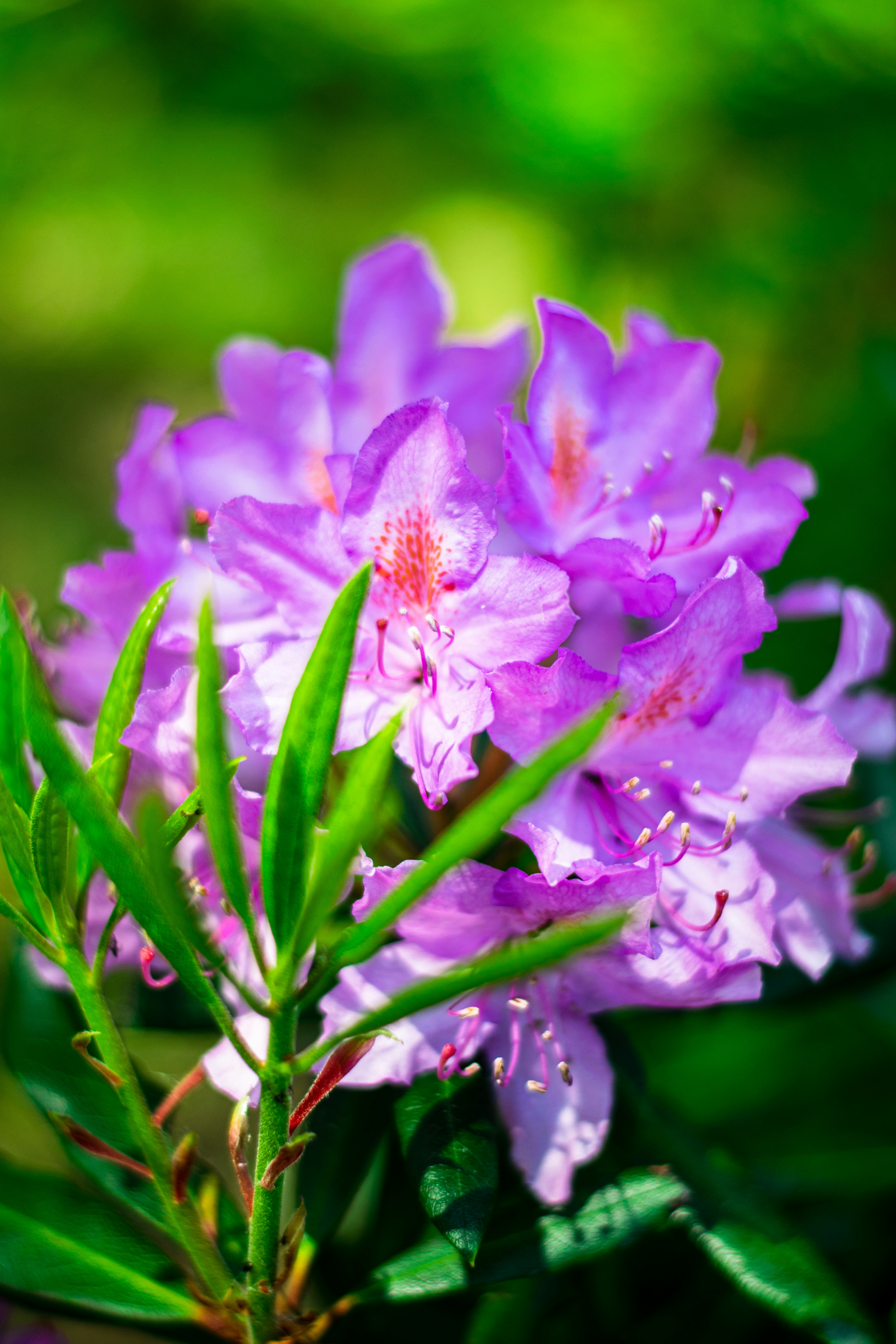 Photo by itsrobcoates