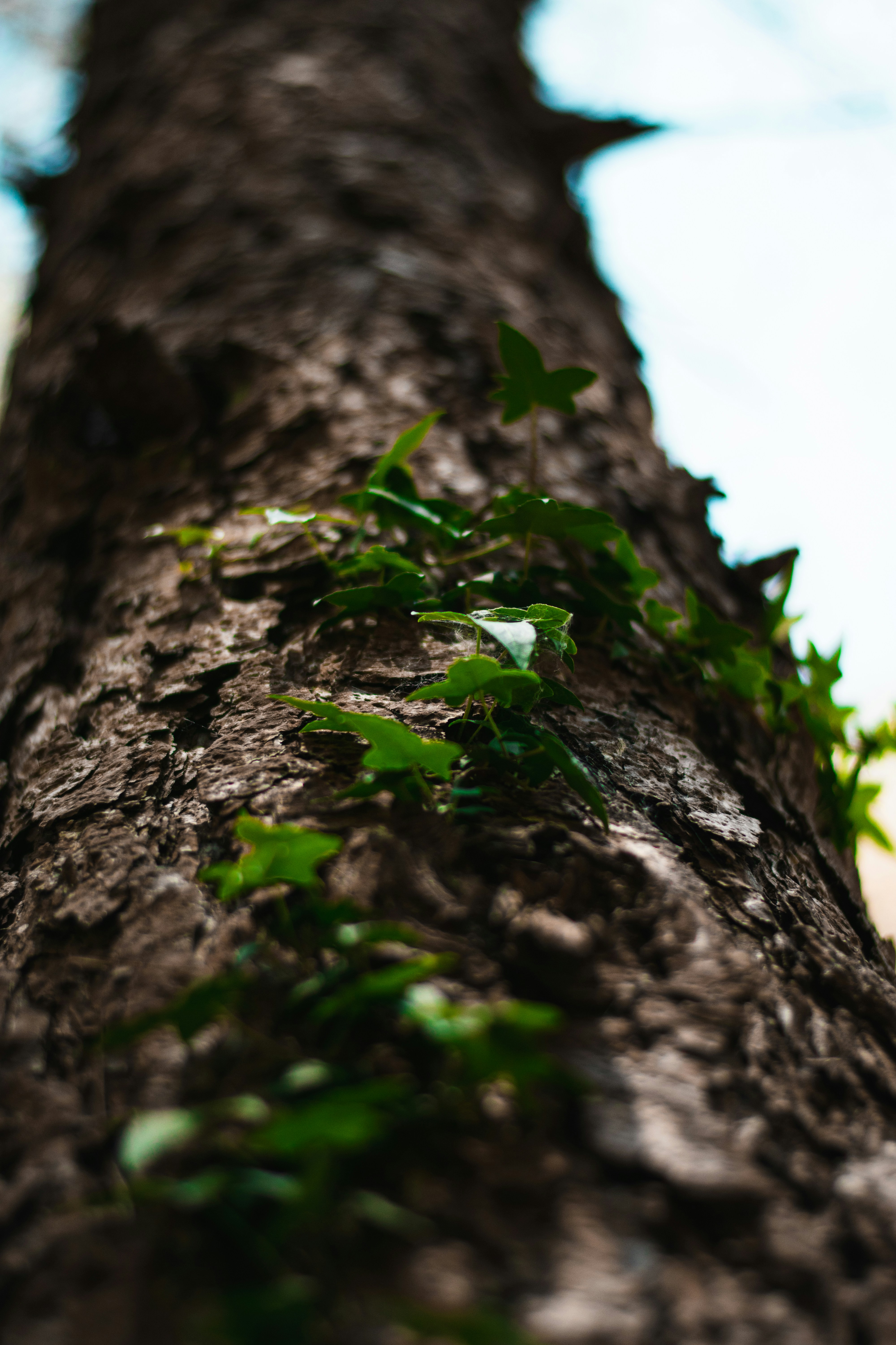 Photo by itsrobcoates