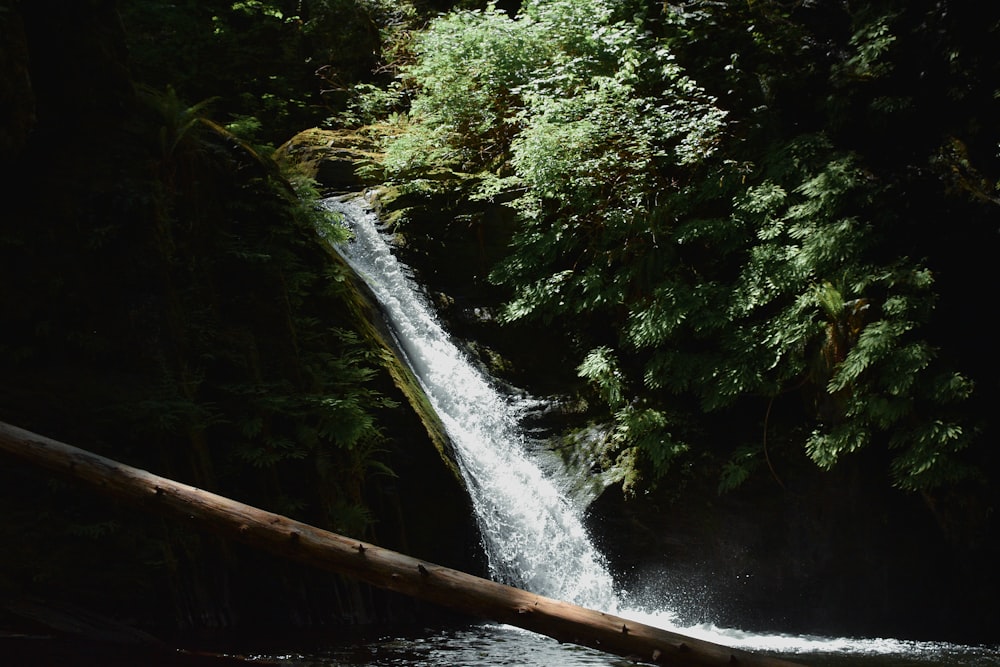 Una pequeña cascada en medio de un bosque