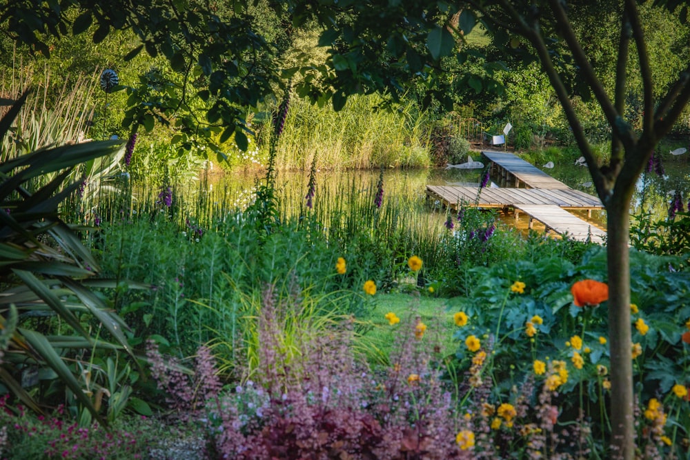 purple and yellow flowers near brown wooden dock