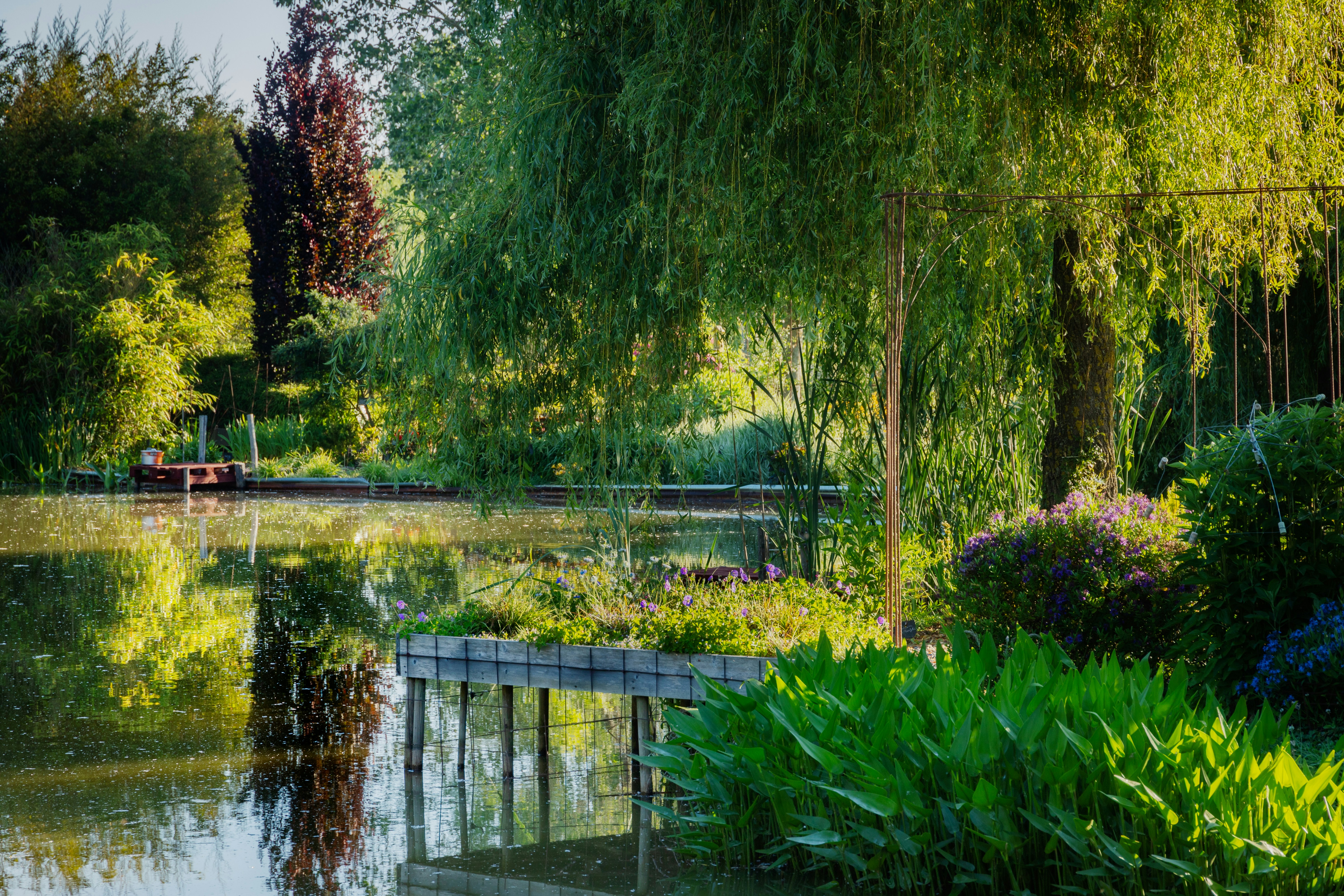 Photo by arizonanthony