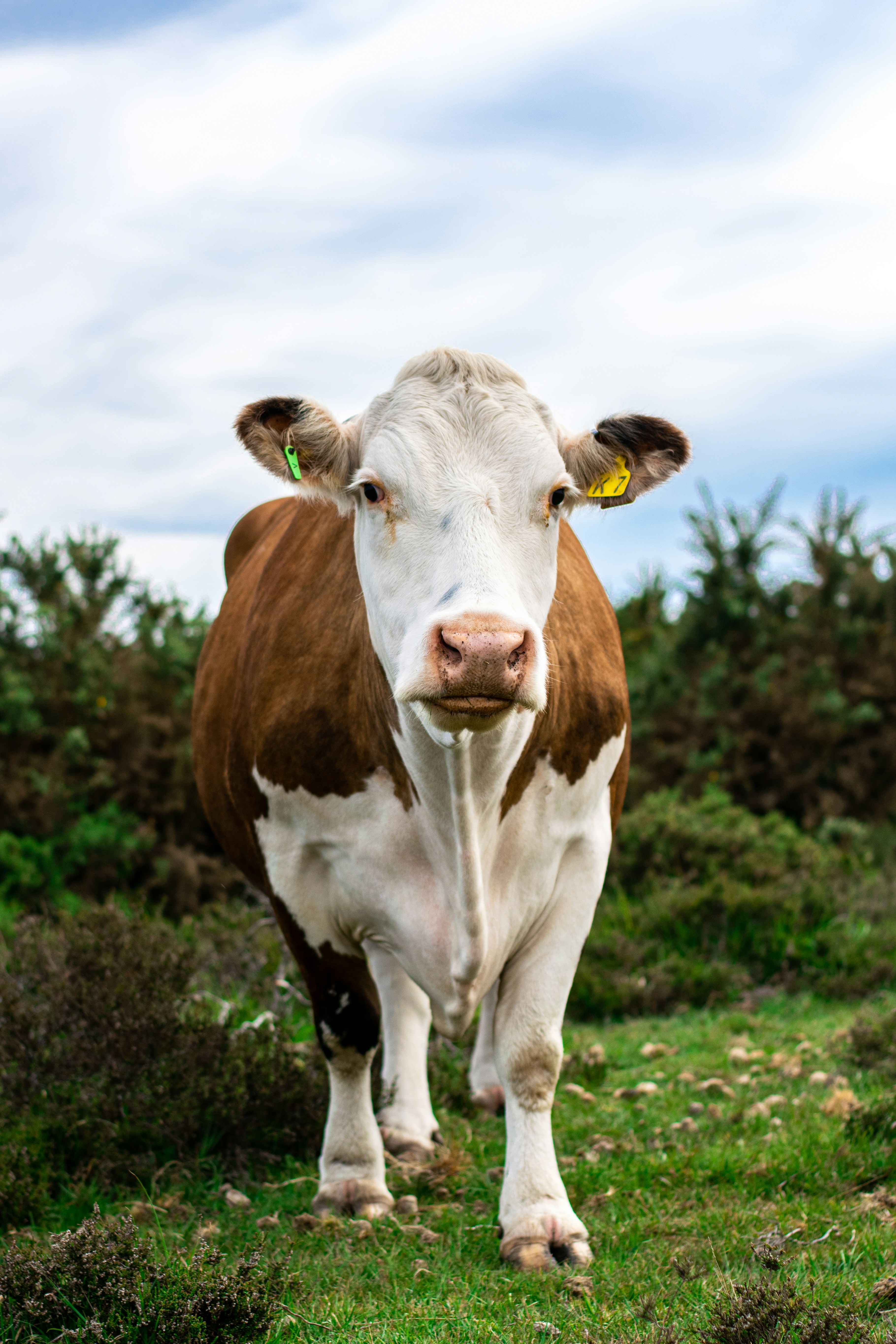 Photo by itsrobcoates