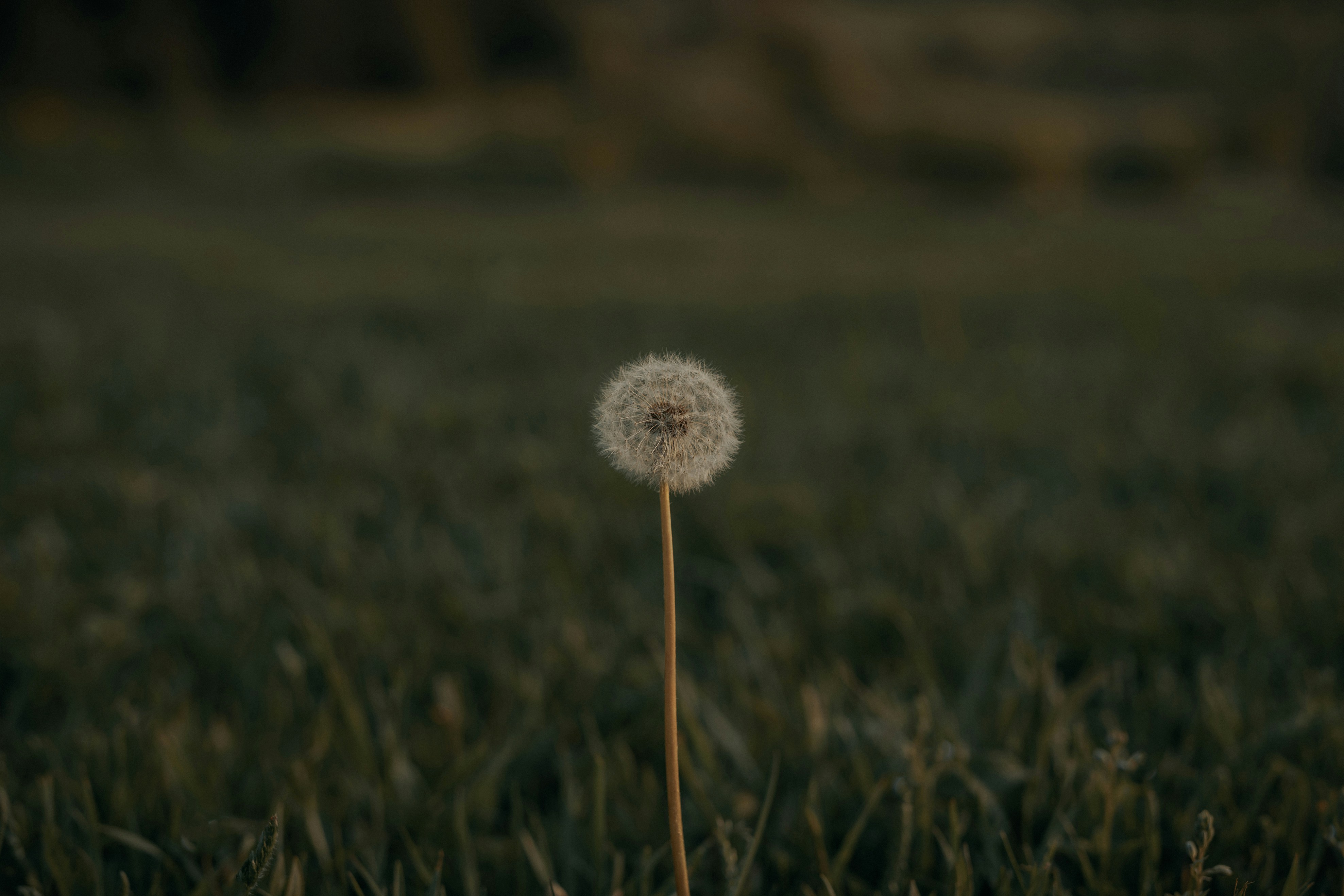 Photo by claybanks