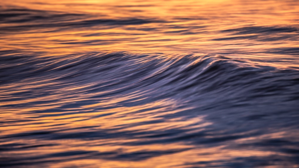 close up photo of water