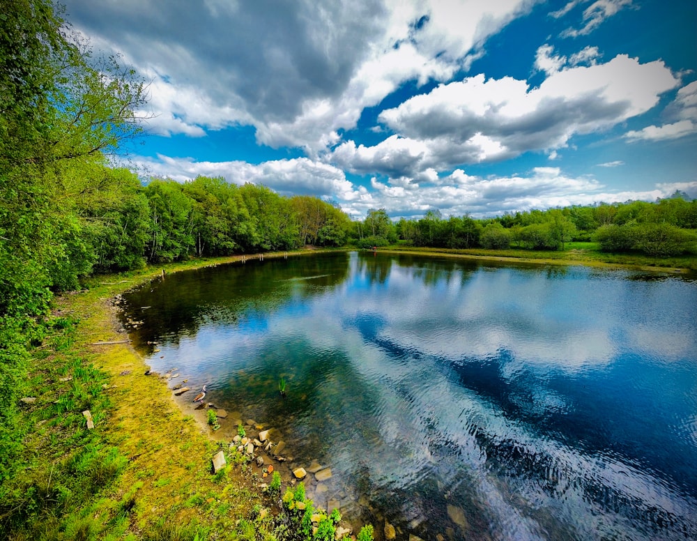 a large body of water surrounded by lush green trees