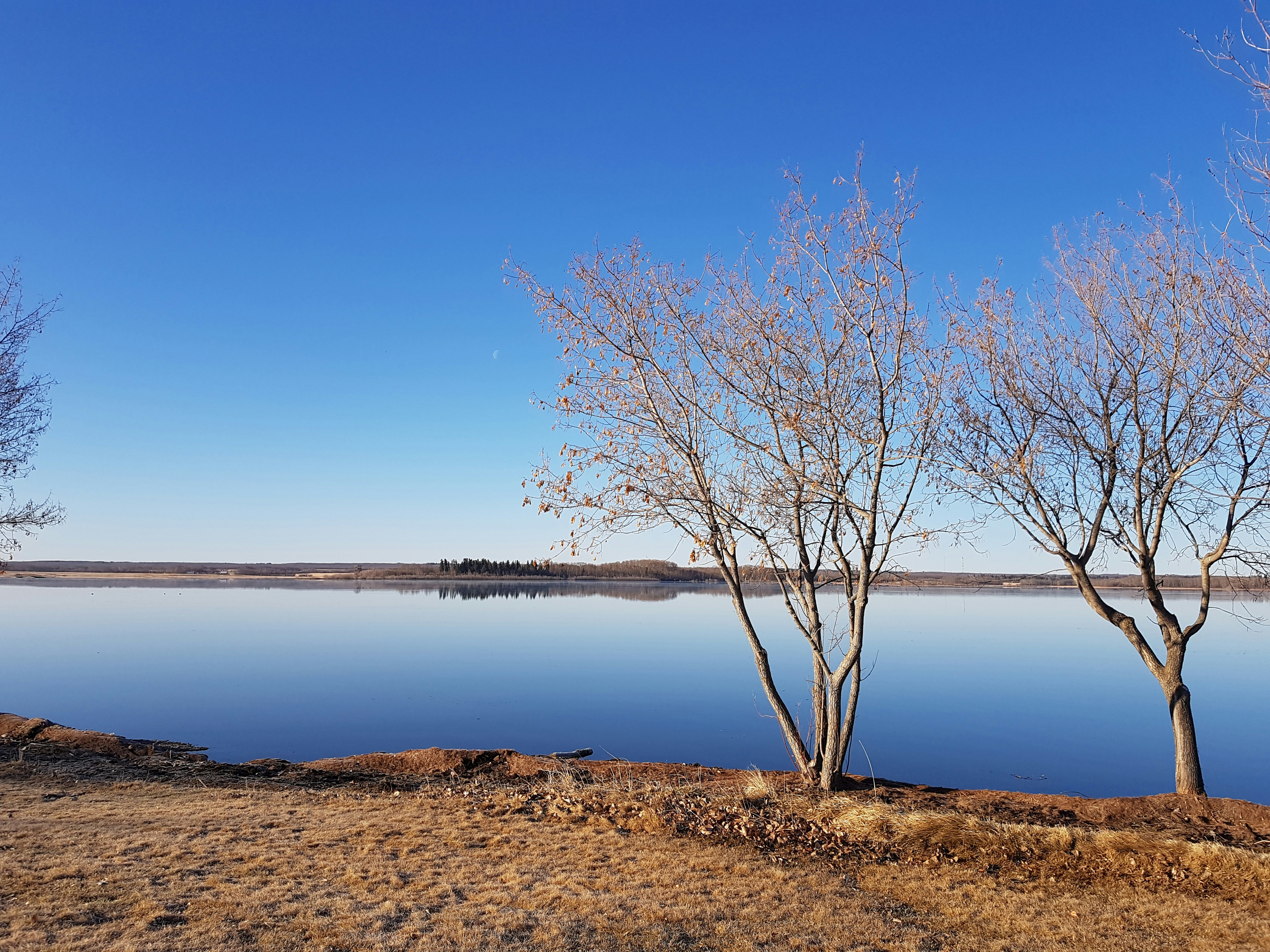 Photo by massage_thetapist