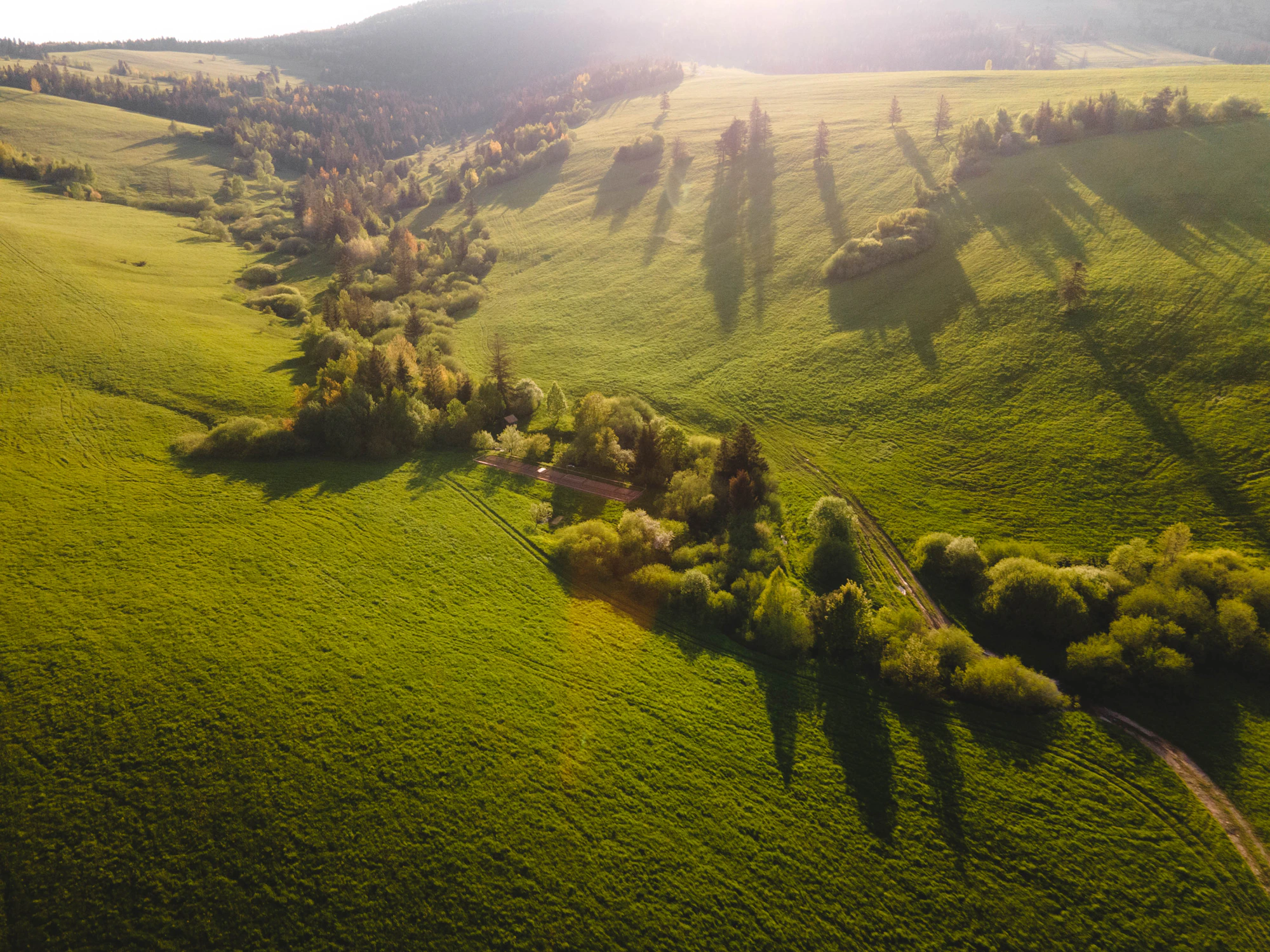 Aerial view of rolling green land with clusters of mature trees