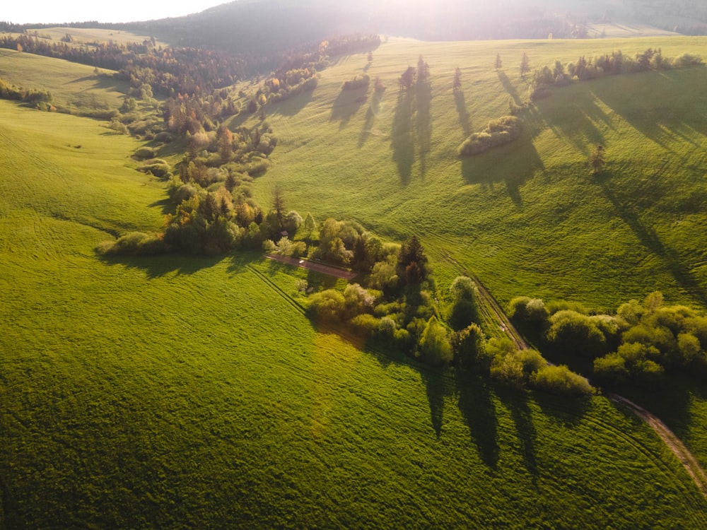 aerial view of green grass field during daytime