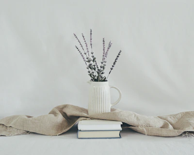 Unsplash 사진 2