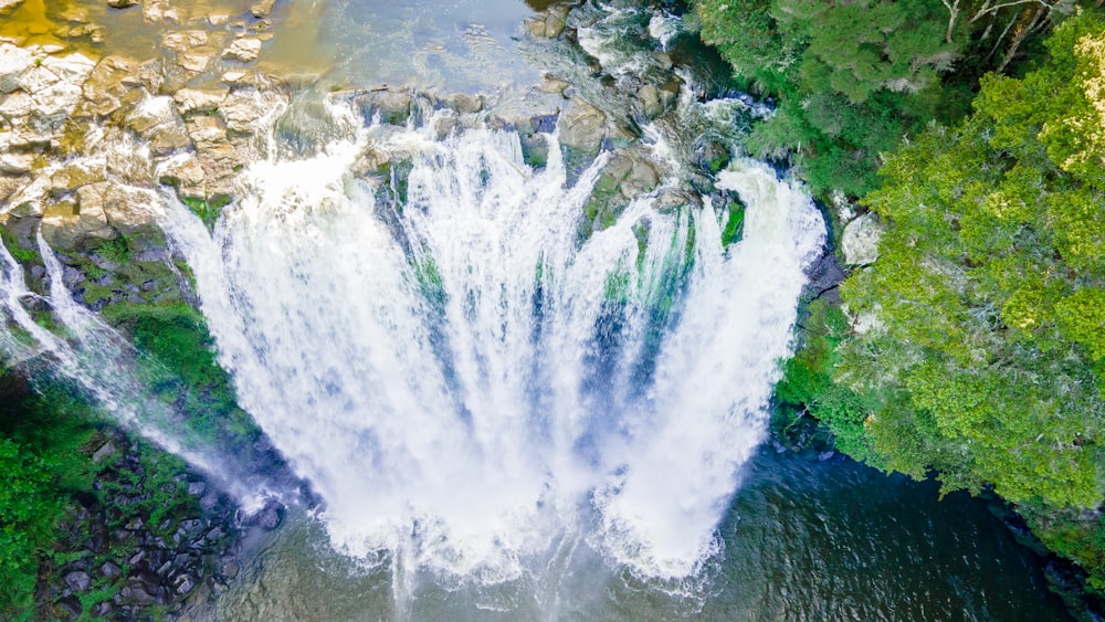 water falls in the middle of green trees