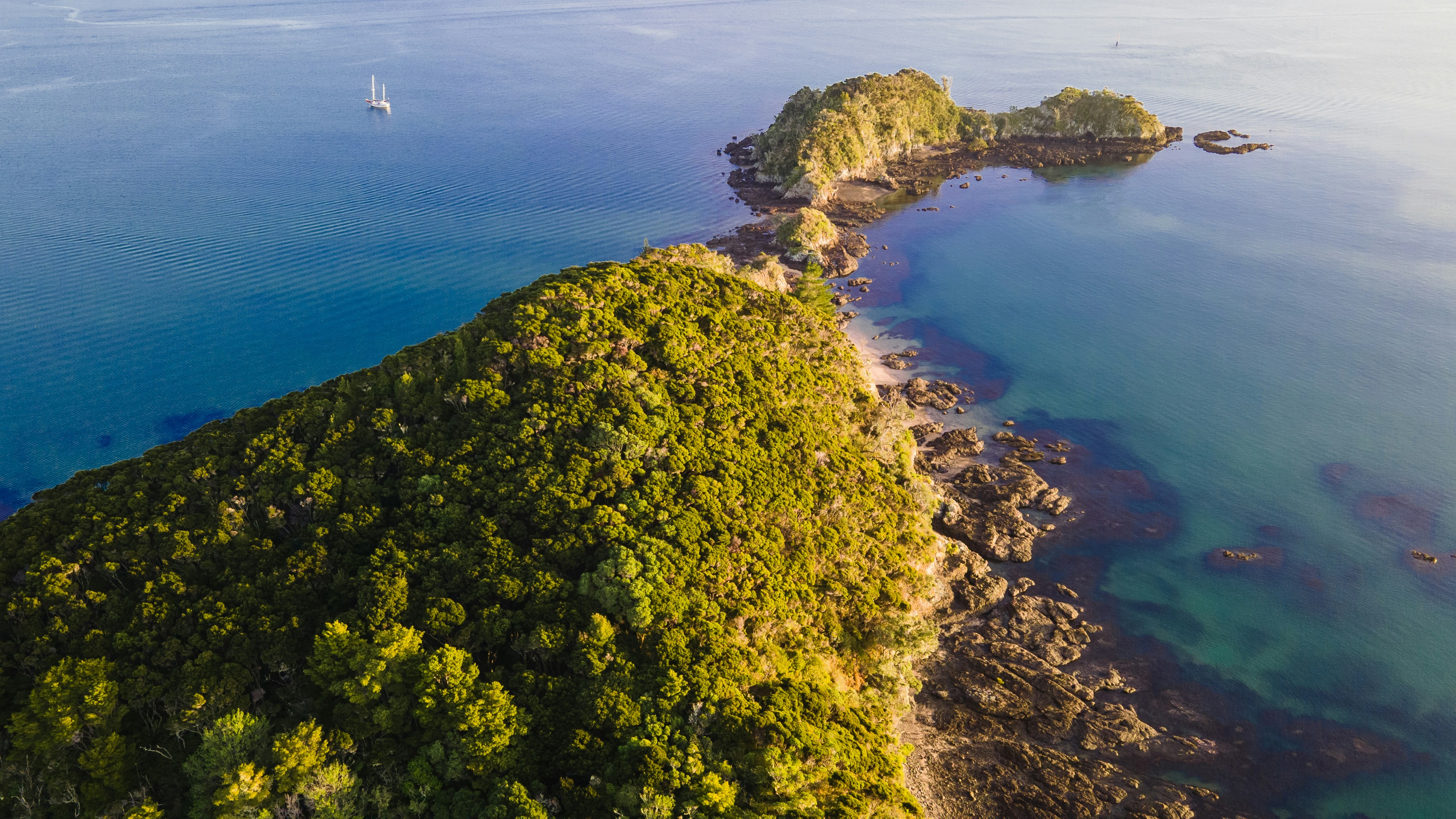 green and brown rock formation near body of water during daytime