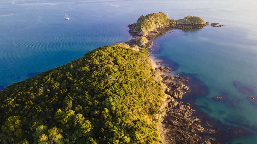 green and brown rock formation near body of water during daytime