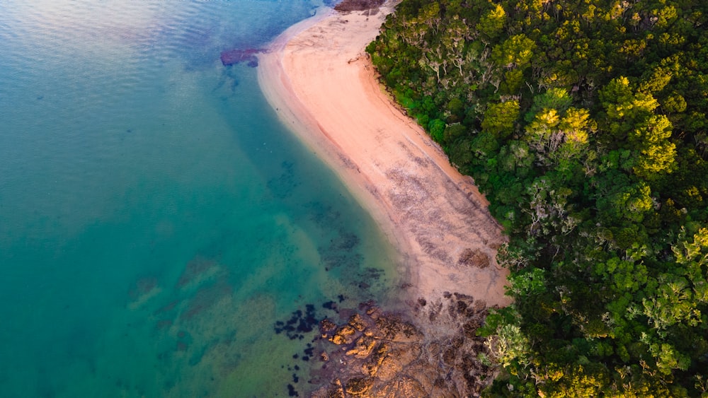 aerial view of green and brown island