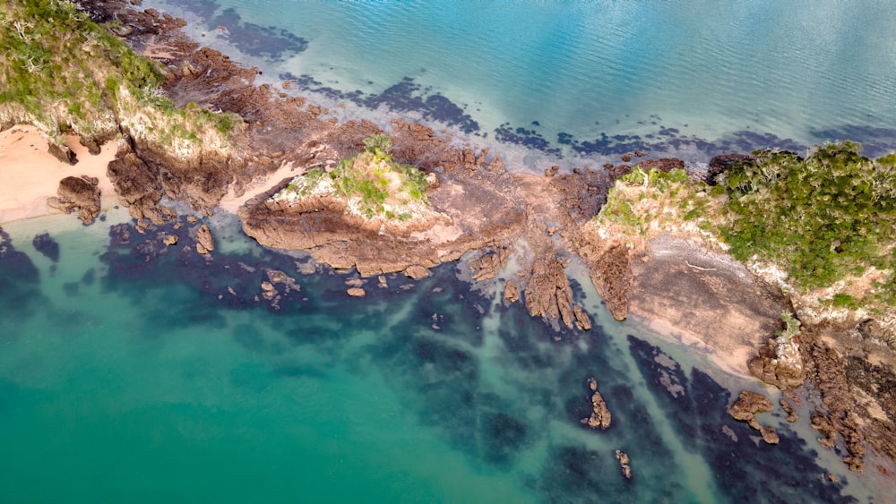 aerial view of green and brown island