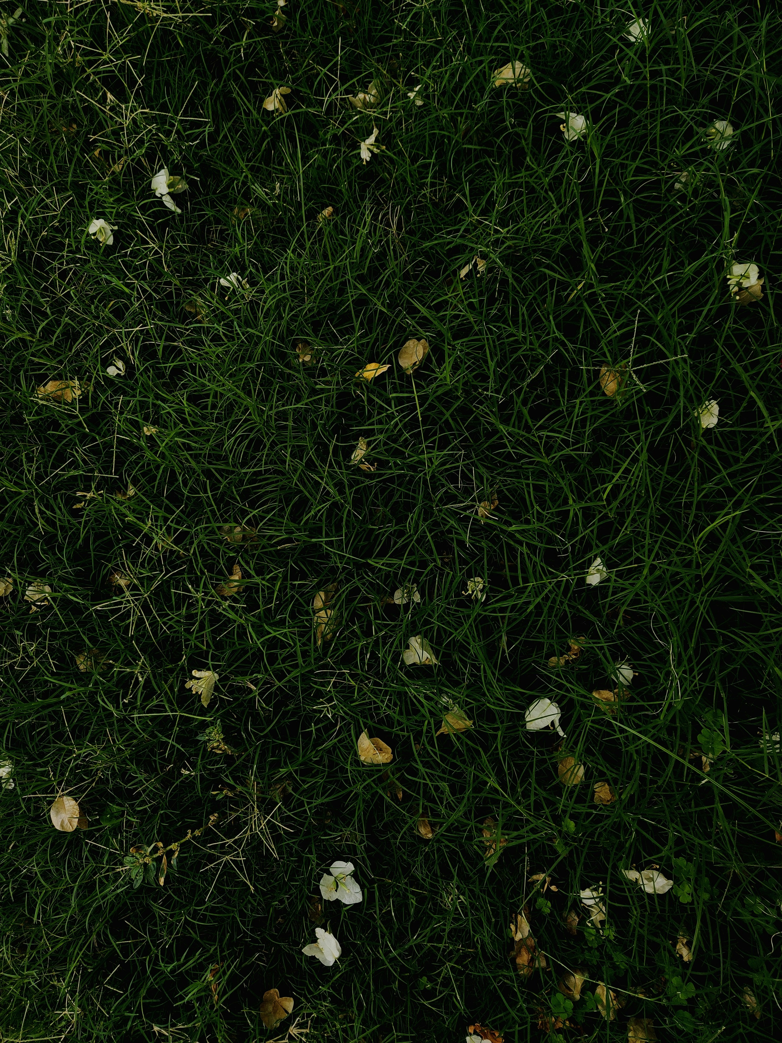 Photo by aryasphotodiary