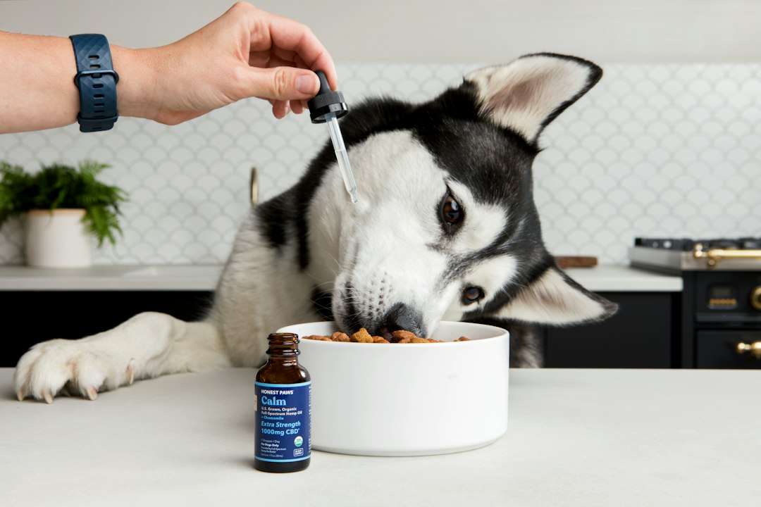 Animal Nutraceuticals