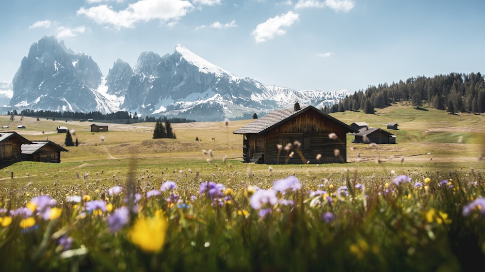 brown wooden house on green grass field near snow covered mountain during daytime