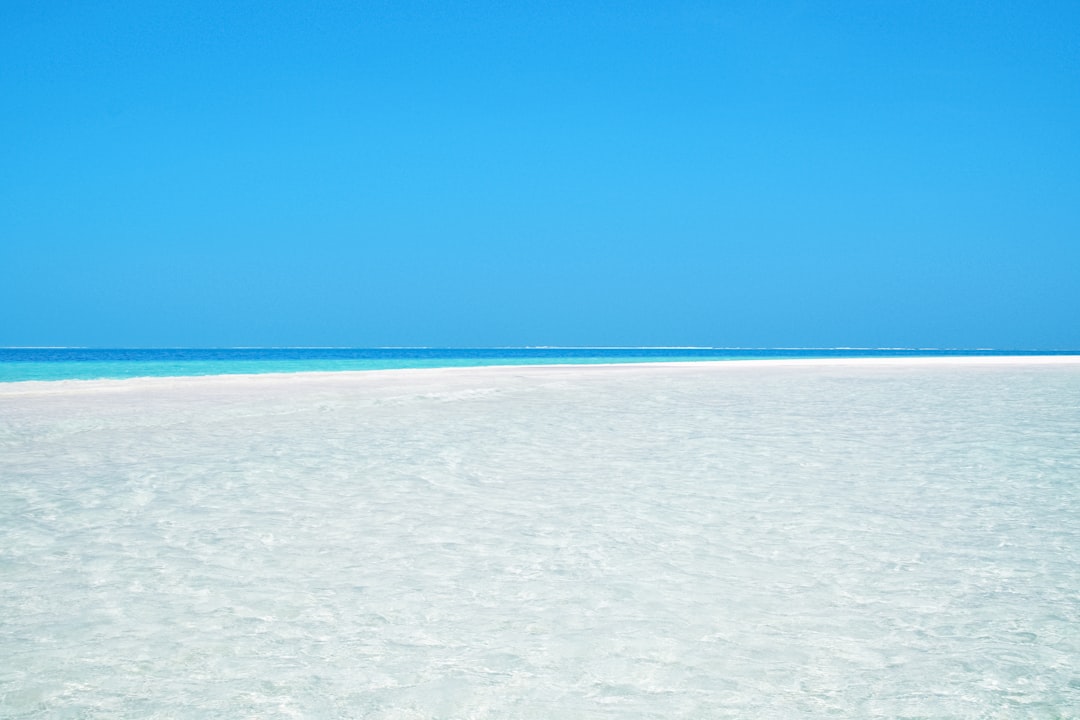 white sand beach under blue sky during daytime