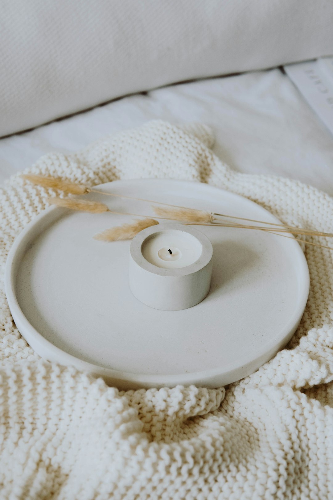 white ceramic plate with brown and white feather