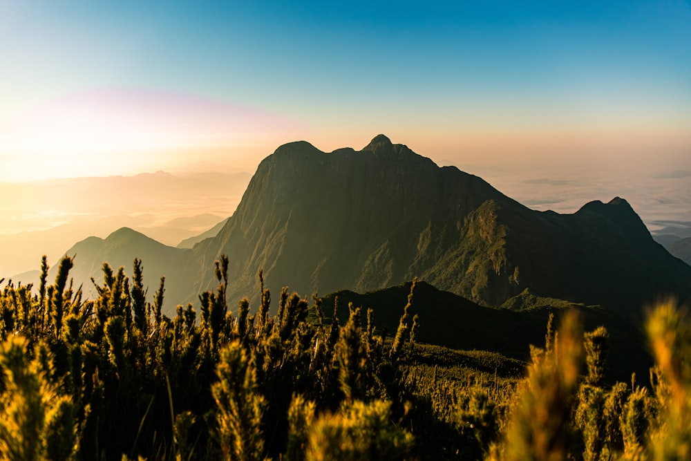 green grass and mountain during sunrise