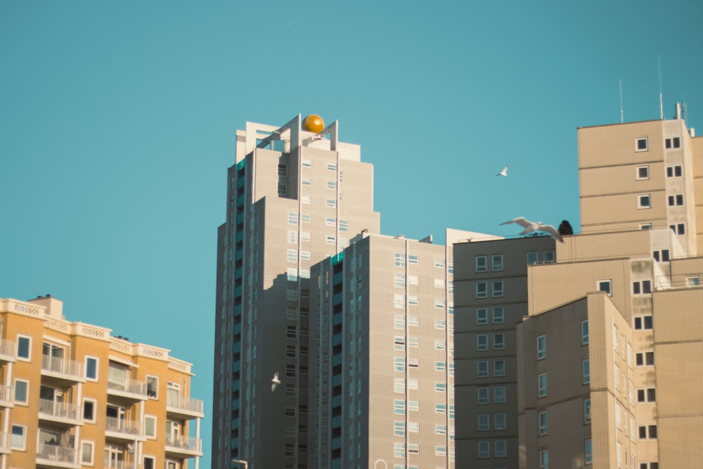 a group of tall buildings in a city