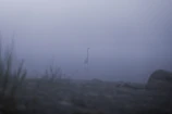 A silhouette of a heron standing still along the foggy riverbank at dawn.