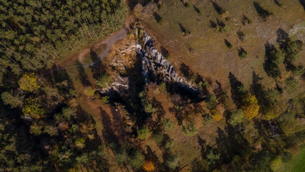 an aerial view of a rocky outcropping in the middle of a forest