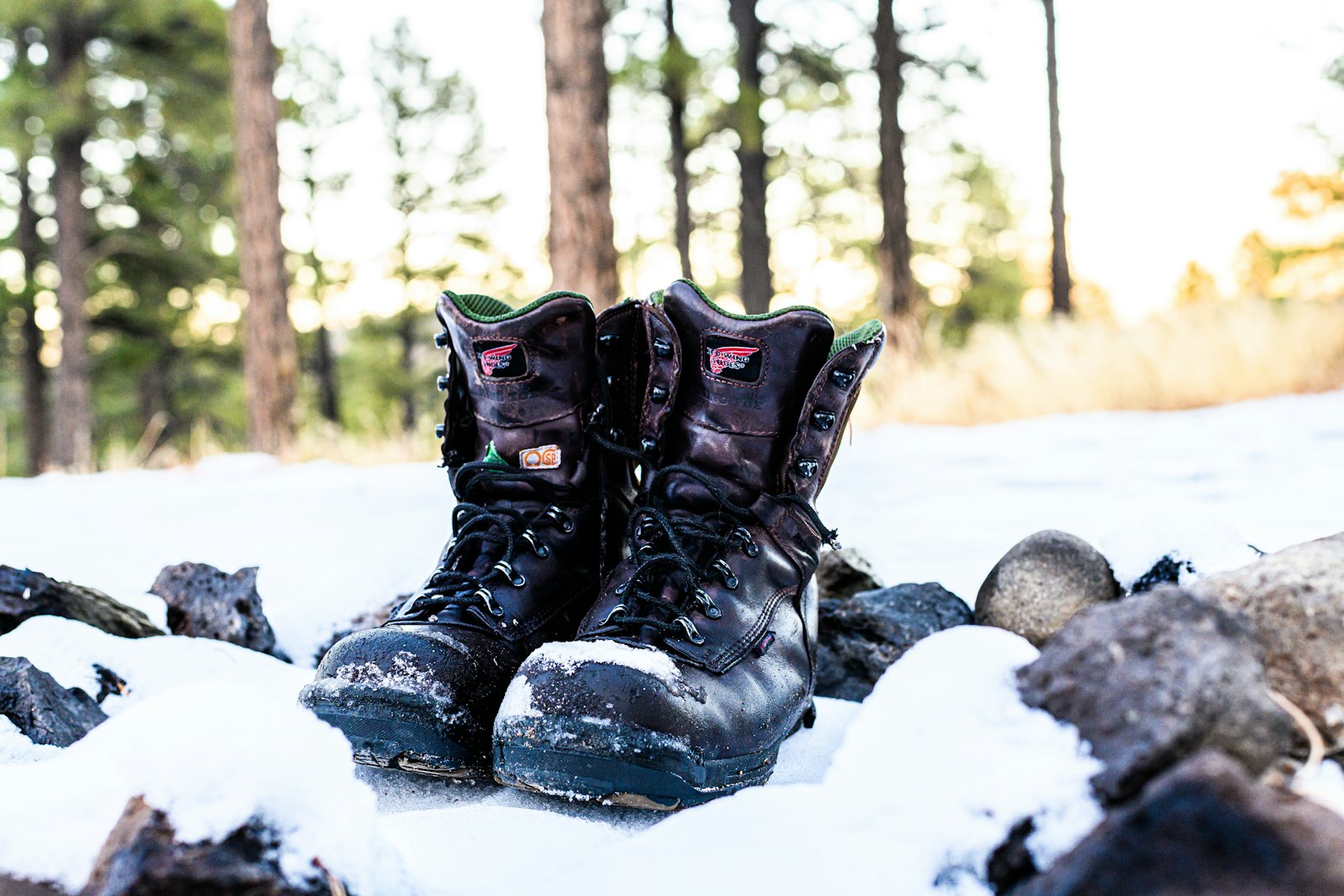 Winterstiefel im Schnee – Kaufberatung für Sohle, Isolierung und Passform bei Kinderschuhen