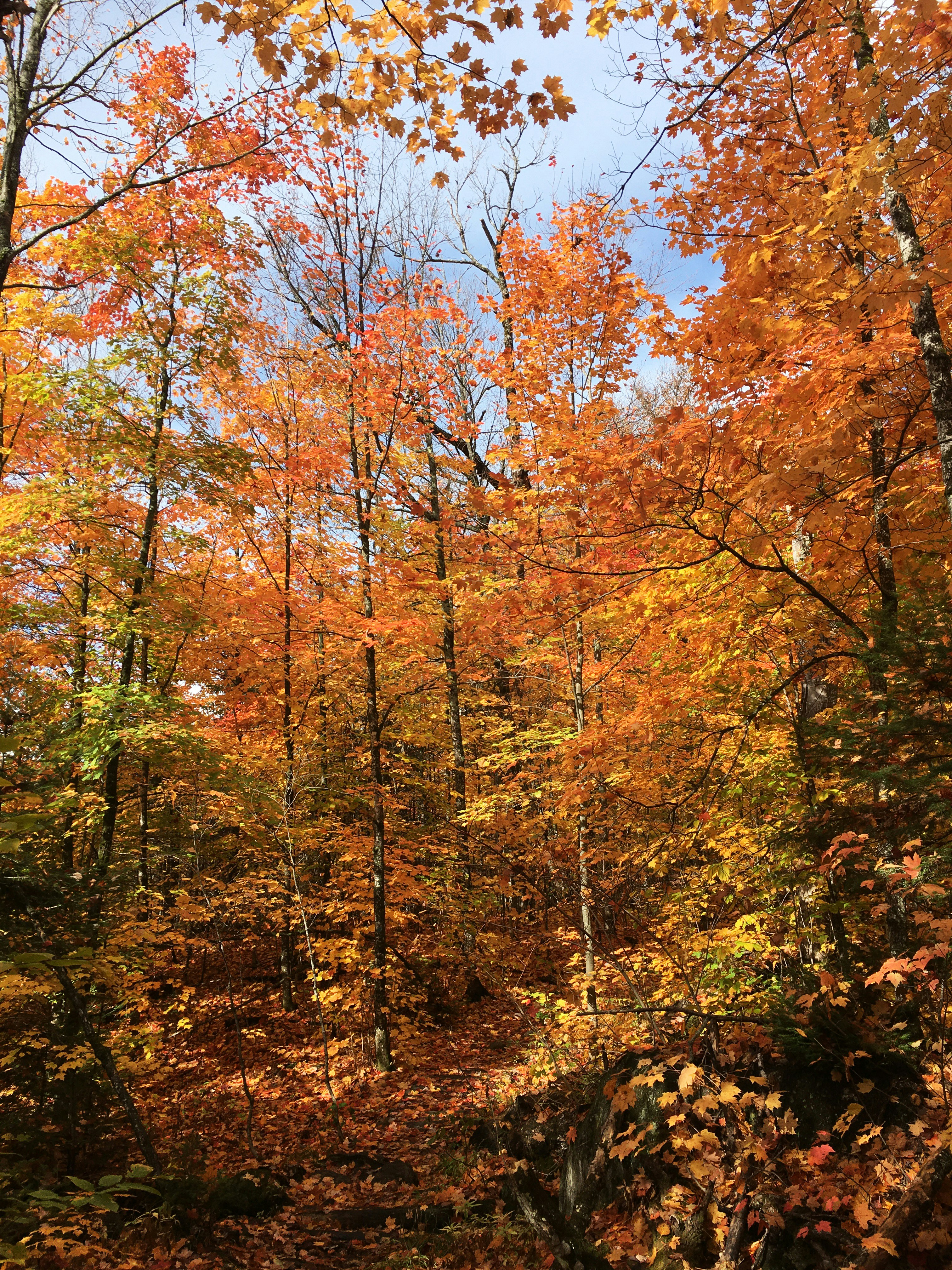 laurentides, quebec.