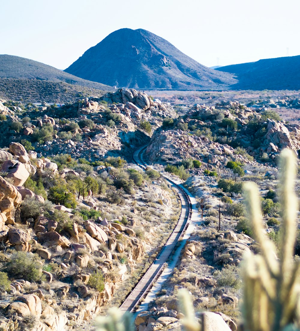 a train traveling through the desert with a mountain in the background