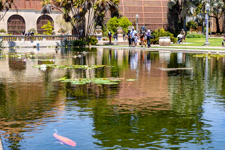 A serene pond reflecting its surroundings, with lily pads and a few blooming flowers on the water. A vibrant orange koi fish swims near the surface. In the background, people are gathered near a historic building with arches, engaged in conversation and leisure activities. The area is lush with greenery, including palm trees that add to the tranquil atmosphere.