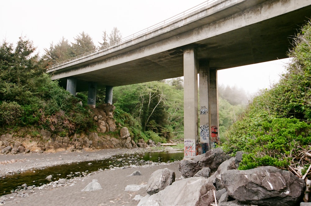 gray concrete bridge over river
