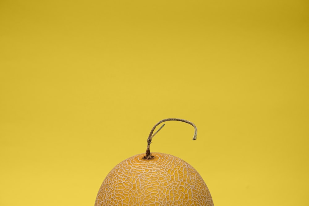 a grapefruit sitting on top of a table