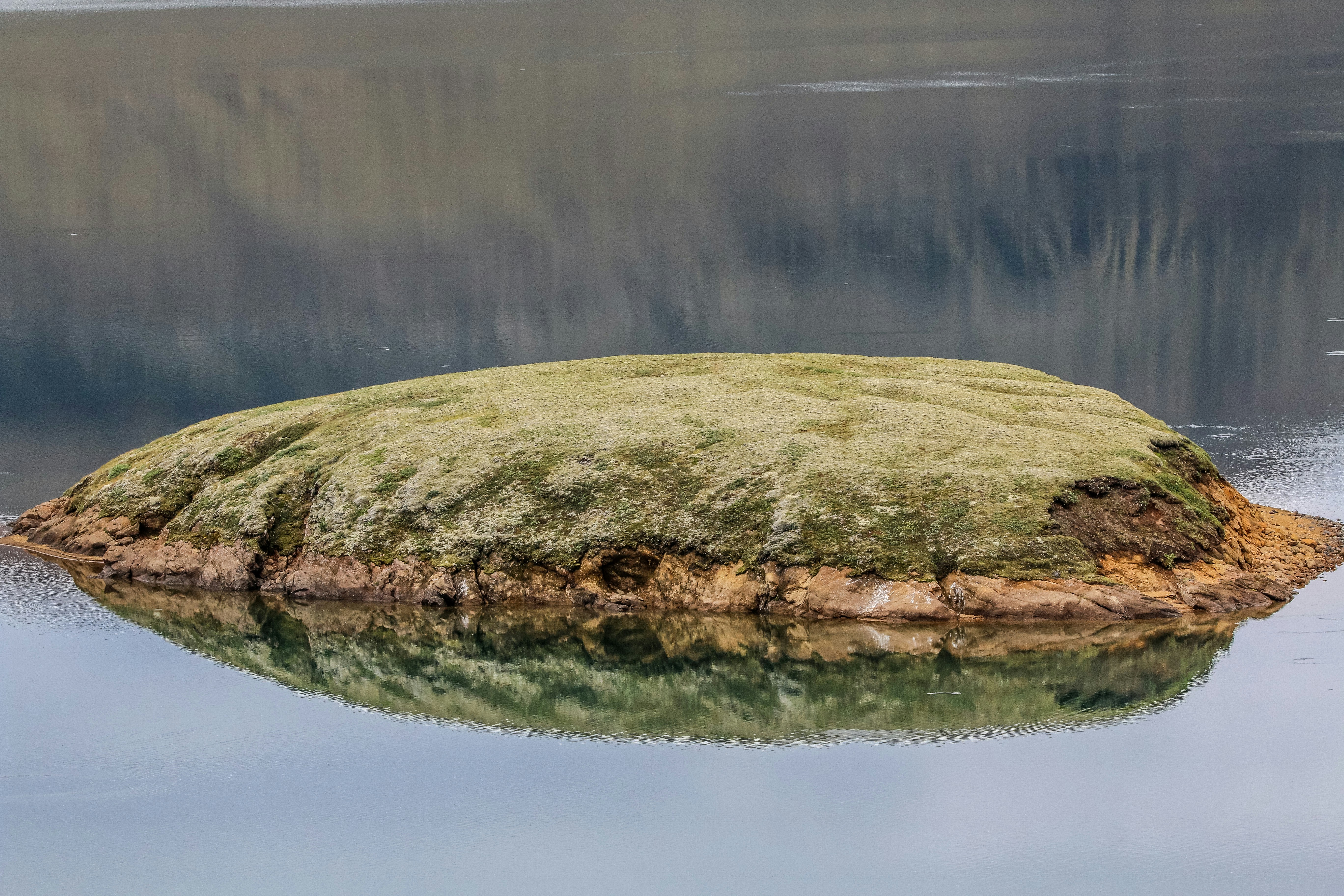 a rock with moss growing on it in the middle of a body of water