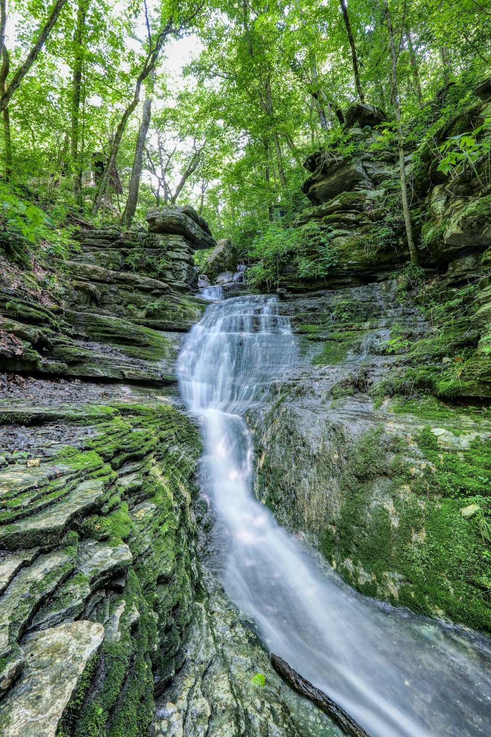 Wasser fällt mitten im Wald