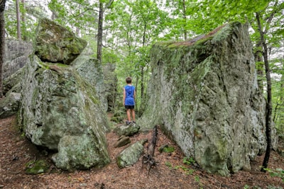 man in blue t-shirt and blue denim shorts standing on brown soil near green trees