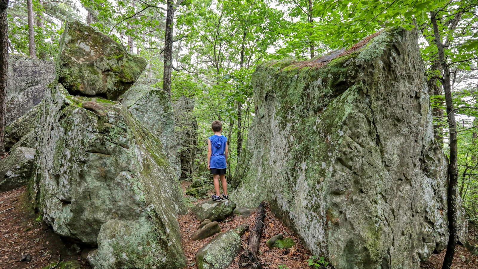 Exploring the Natural Phenomenon and Possible Causes