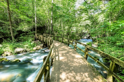 brown wooden bridge over river