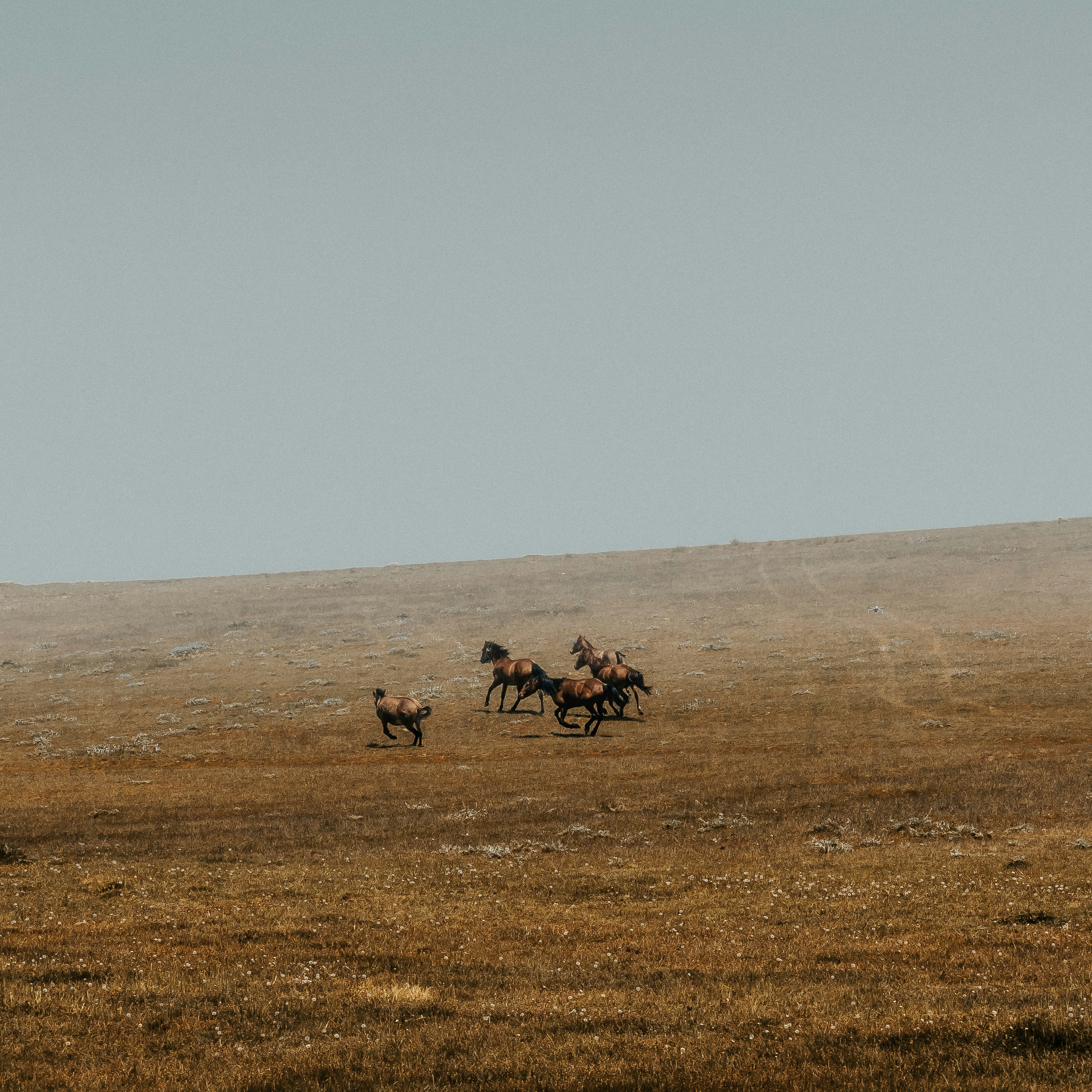 Photo by mehrshad_has