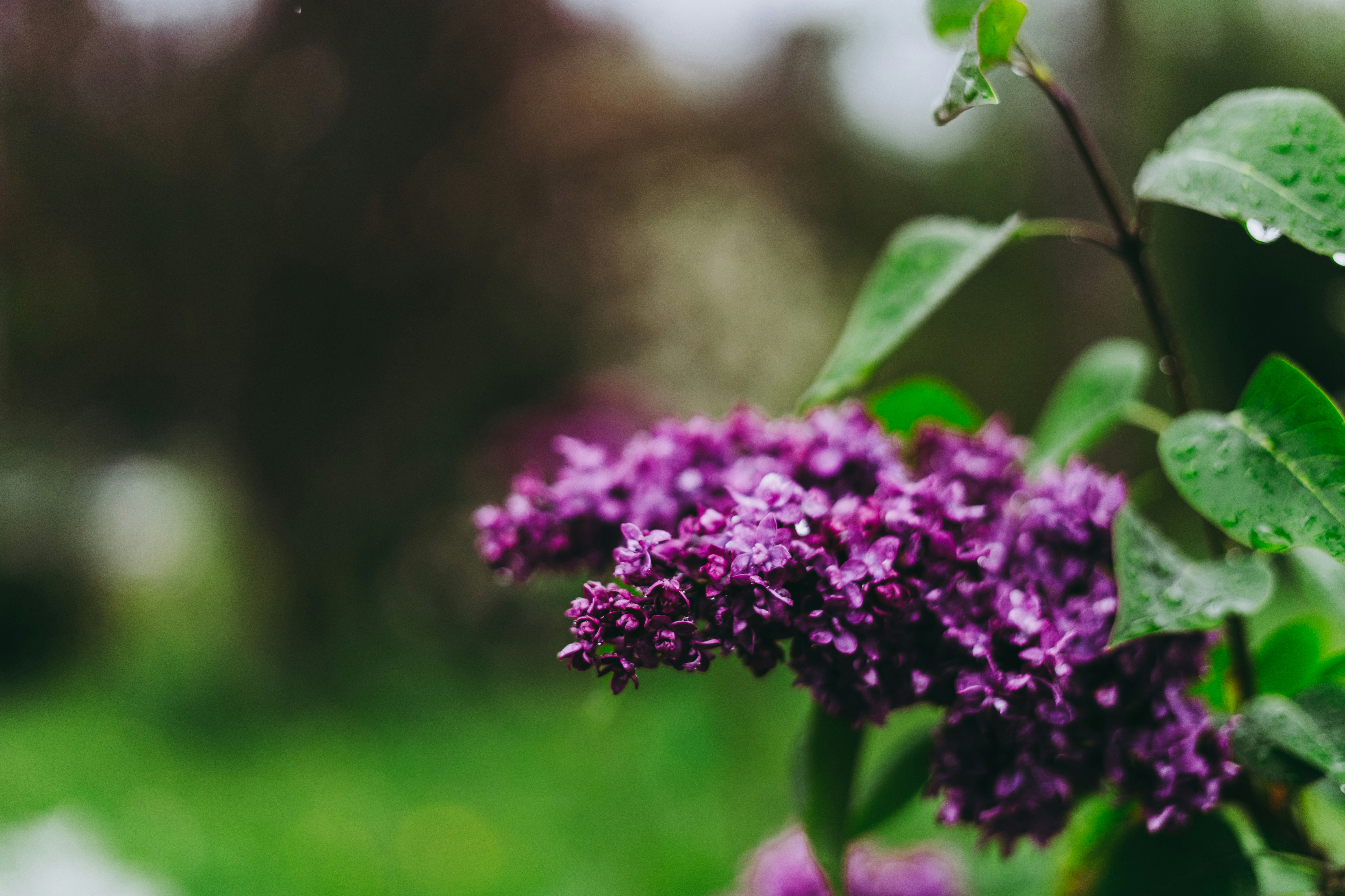 Photo by virussinside