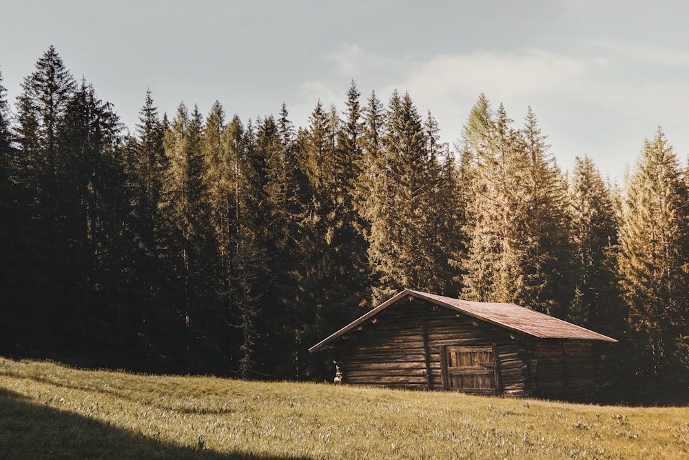 brown wooden house near green trees under white clouds during daytime