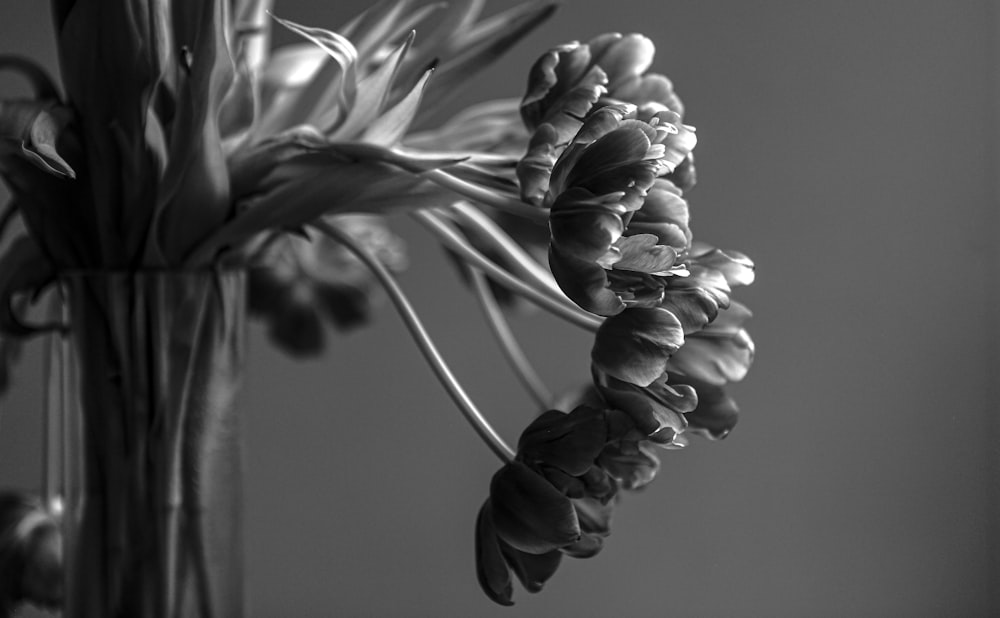 Foto en escala de grises de flor en flor