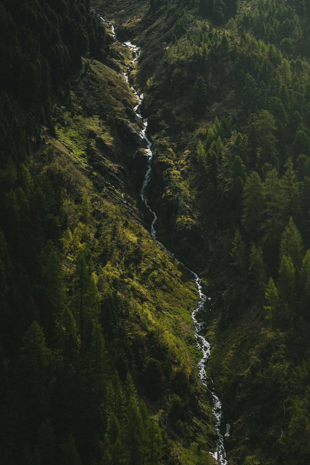 water falls in the middle of green and brown mountain