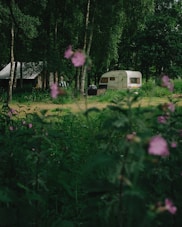 white and brown house surrounded by green trees
