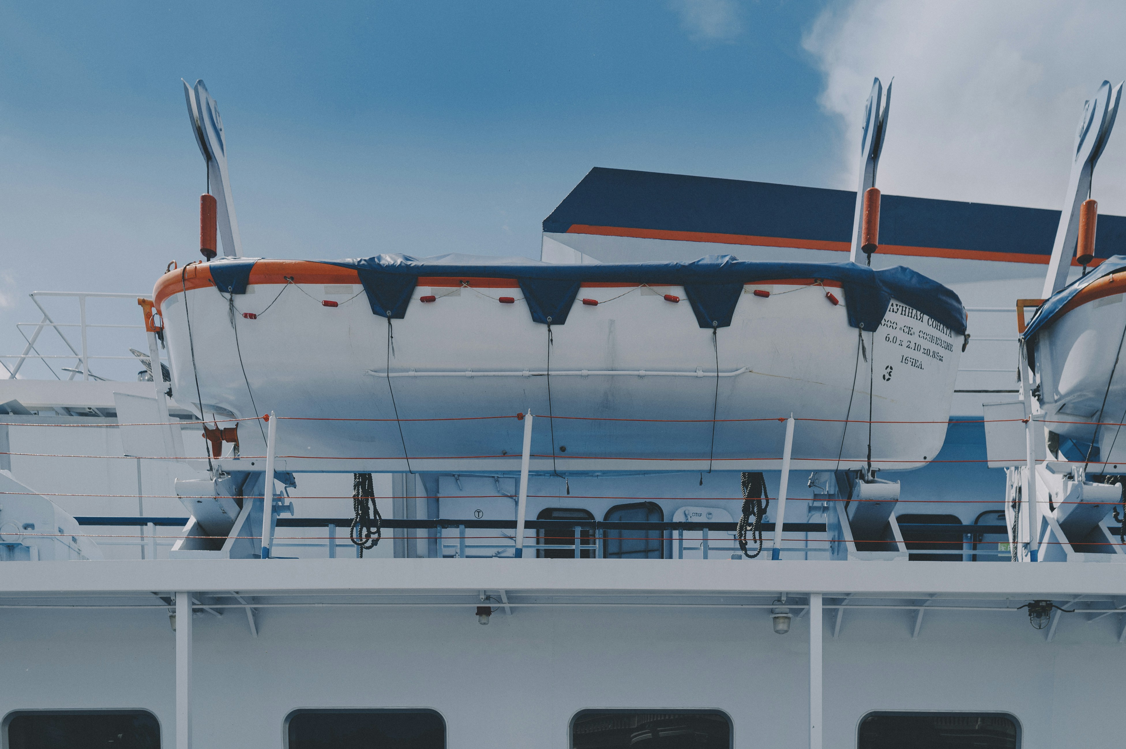 Photo by vonshnauzer