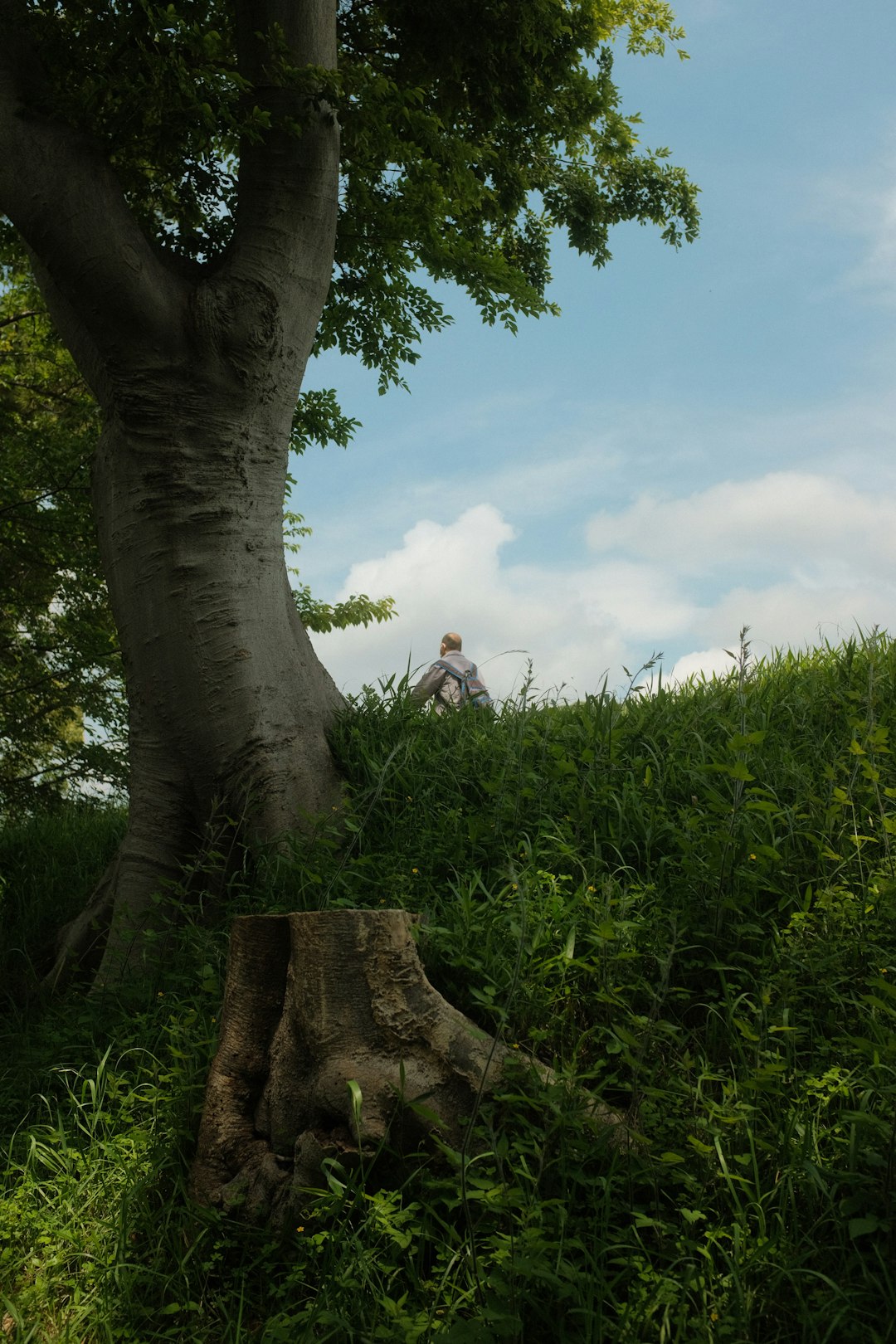 man in white t-shirt sitting on brown tree log during daytime