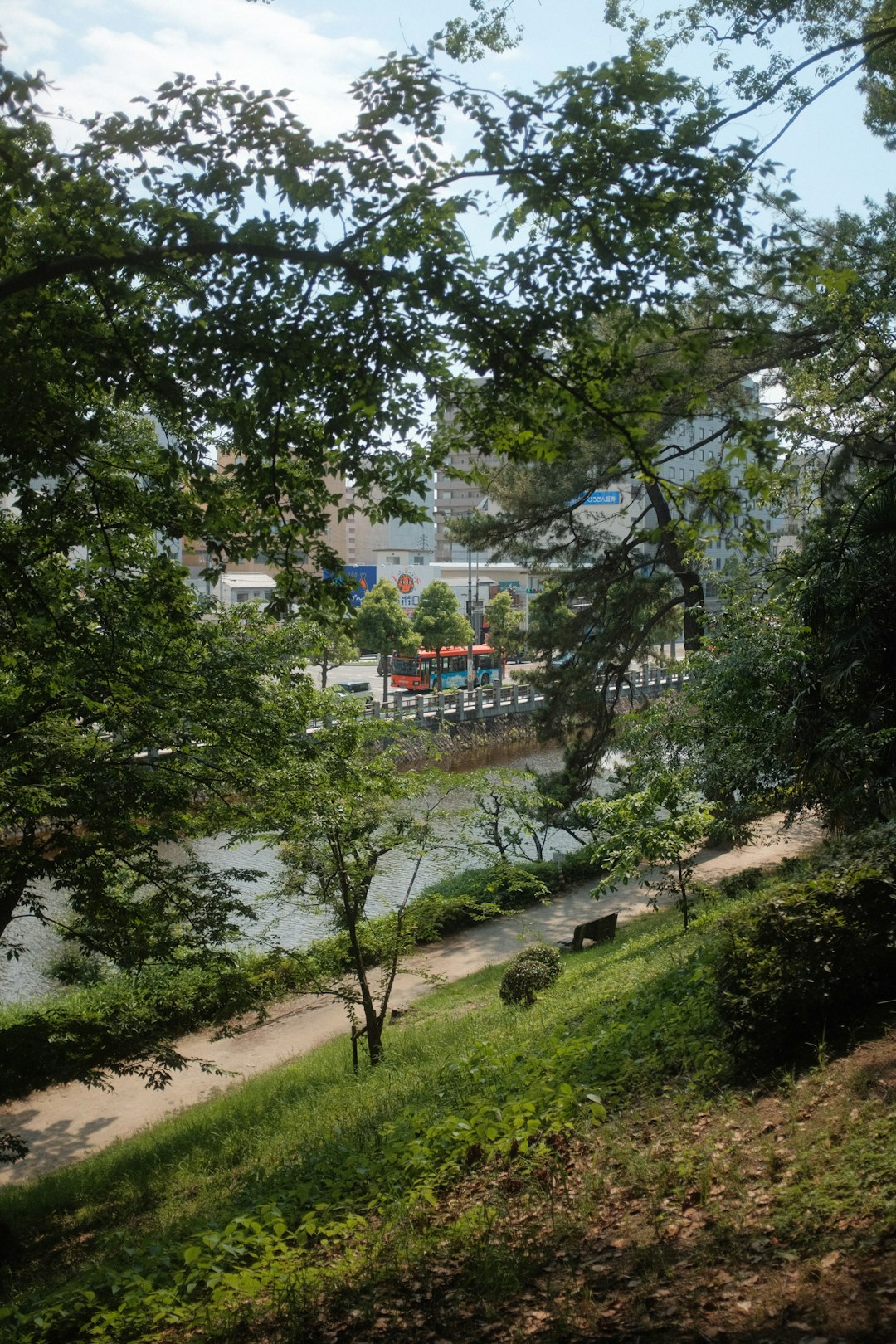 green trees near body of water during daytime