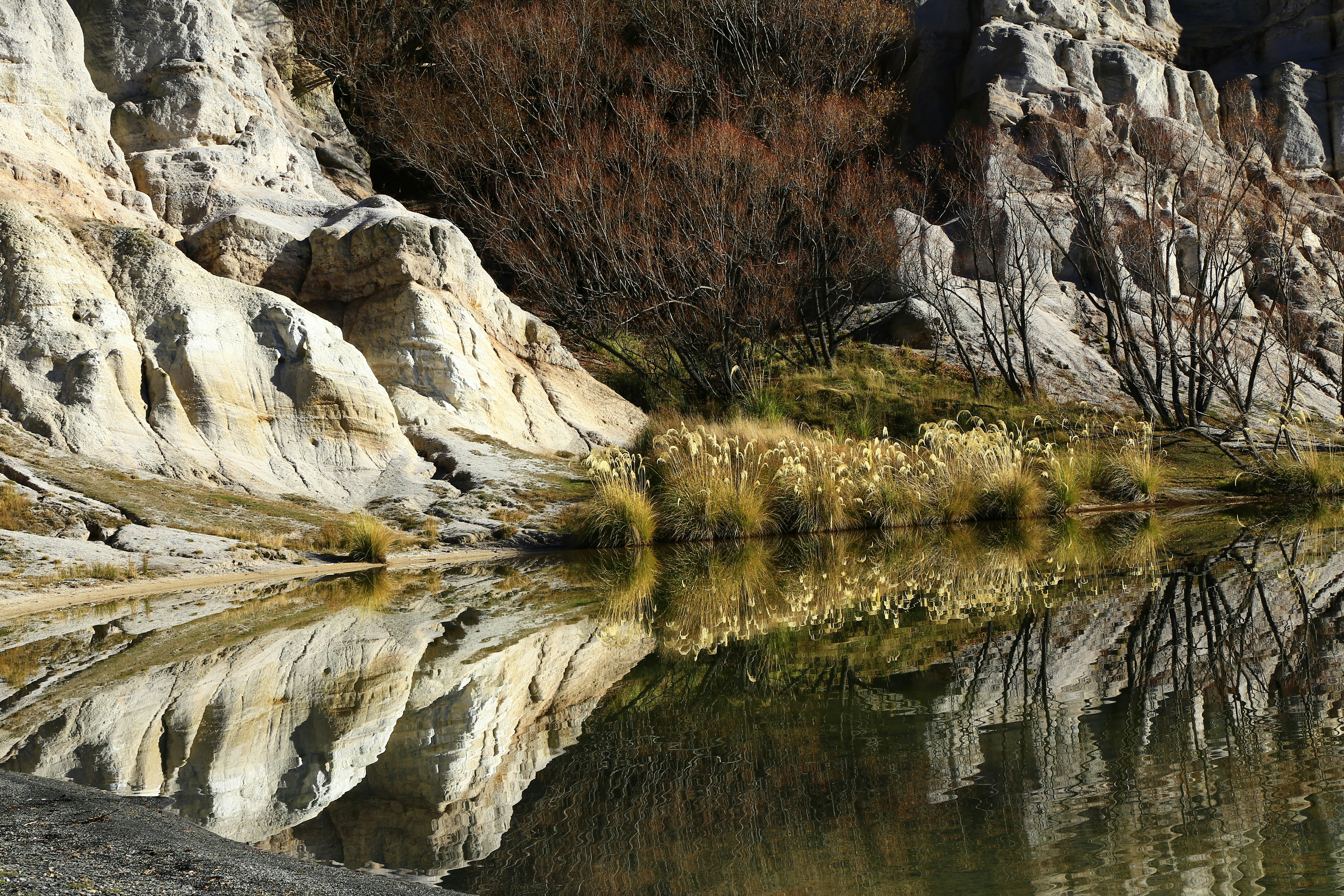 Photo by splashabout