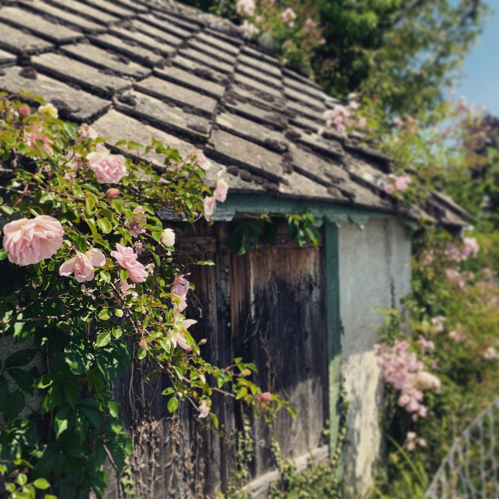 たくさんの花が生えている建物