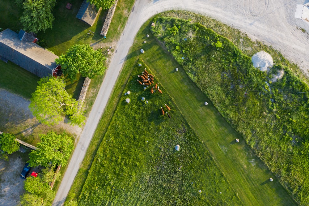 an aerial view of a grassy field and a road